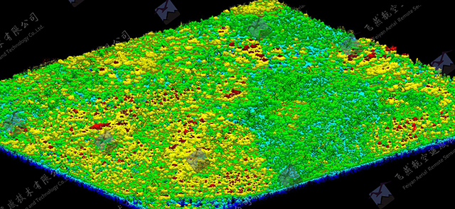 飞燕遥感激光点云成果林业CHM(1).jpg