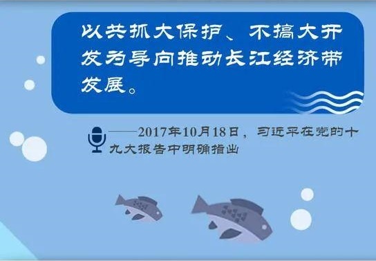 长江大保护 飞燕在行动丨飞燕遥感深度参与长江经济带生态环境保护