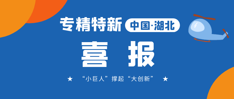 喜报!飞燕遥感成功入选省级专精特新“小巨人”企业