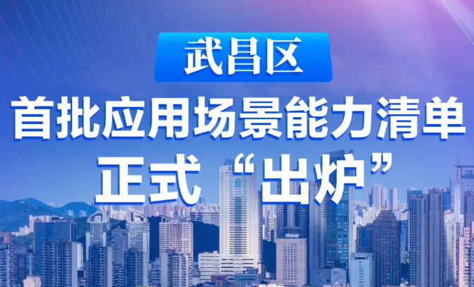 飞燕遥感入选武汉市武昌区首批应用场景能力清单
